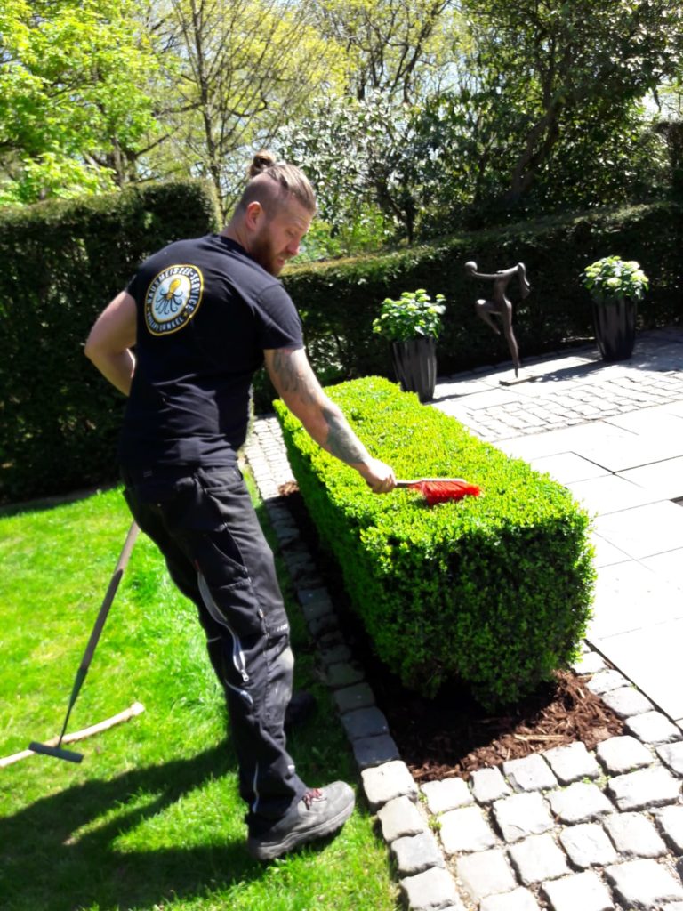 Home 5 Gartenarbeiten Hausmeisterservice Dunkel
