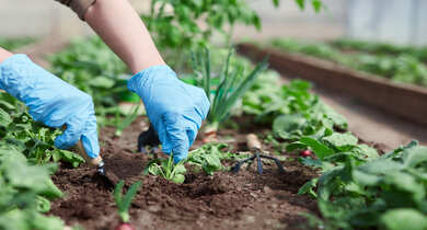 GARTENARBEITEN Hausmeisterservice Dunkel in Düsseldorf und Neuss